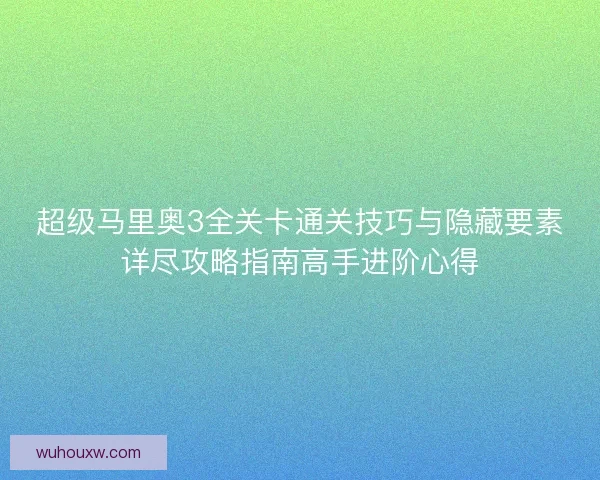超级马里奥3全关卡通关技巧与隐藏要素详尽攻略指南高手进阶心得