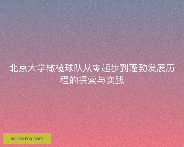 北京大学橄榄球队从零起步到蓬勃发展历程的探索与实践