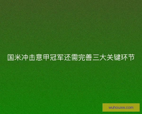 国米冲击意甲冠军还需完善三大关键环节 国米冲击意甲冠军还需完善三大关键环节